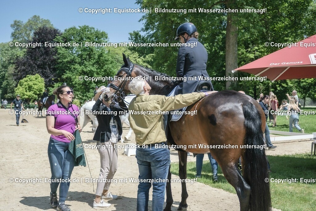 ZFC_4041 | equistock