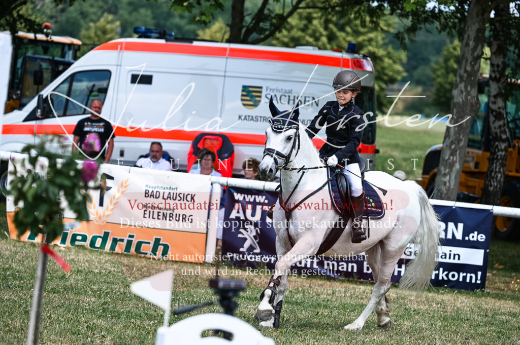 DSC_9620 | Pferde- und Turnierfotografie in Westsachsen. Pferdeportraits, Auftragszeichnungen und intuitive Kunst.
