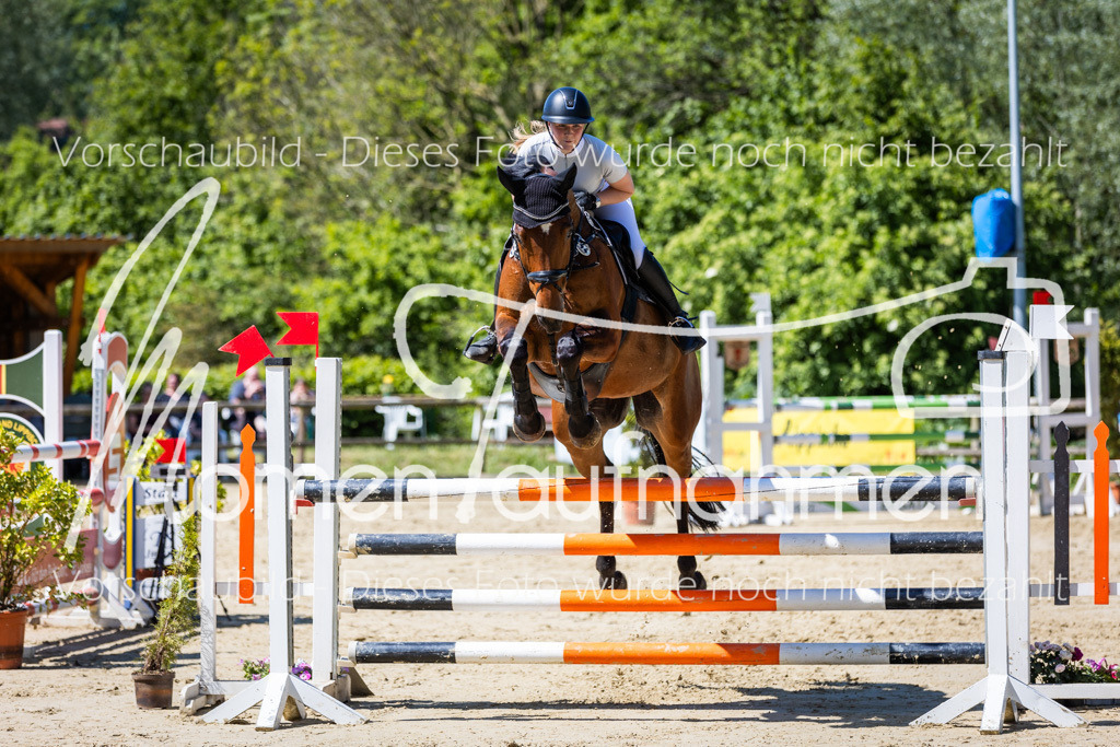 Donop24-L-Spr-043 | MomenTaufnahmen Pferdesportfotos