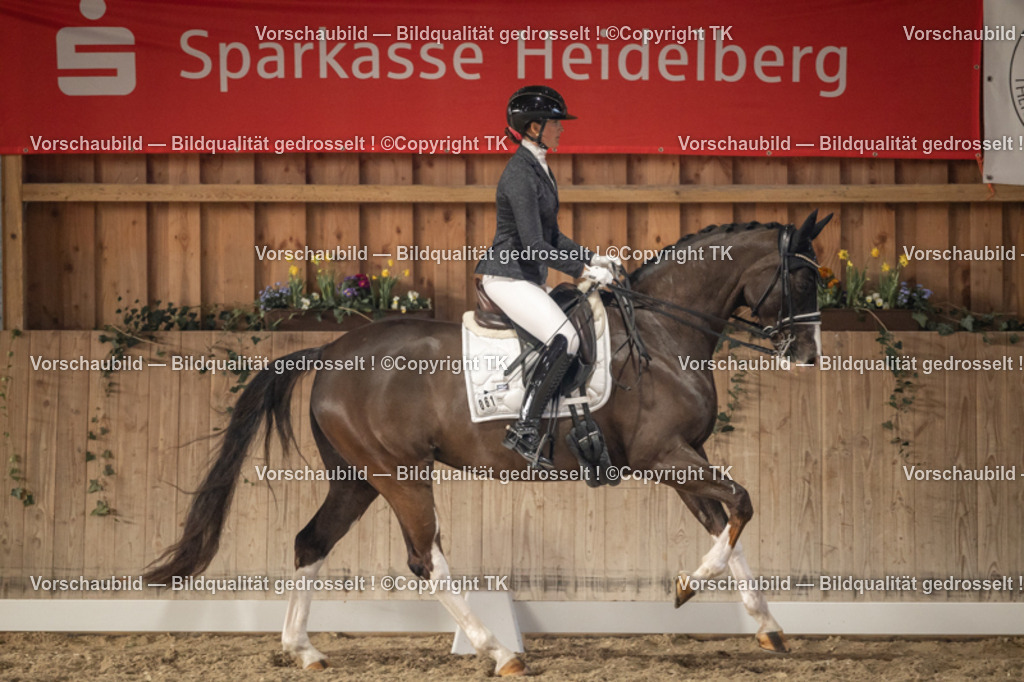 _D5A6481 | Emotionale Pferde- & People-Fotografie rund um Heidelberg, Leimen & Umgebung. Natürliche Fotos von Pferd, Mensch & Familie. Jetzt Termin sichern!