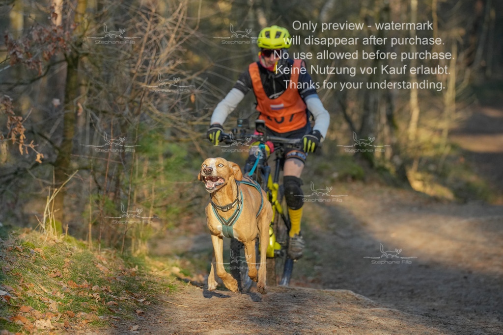 Sa_Bike-404 | stephaniefillaphotographie - Realisiert mit Pictrs.com