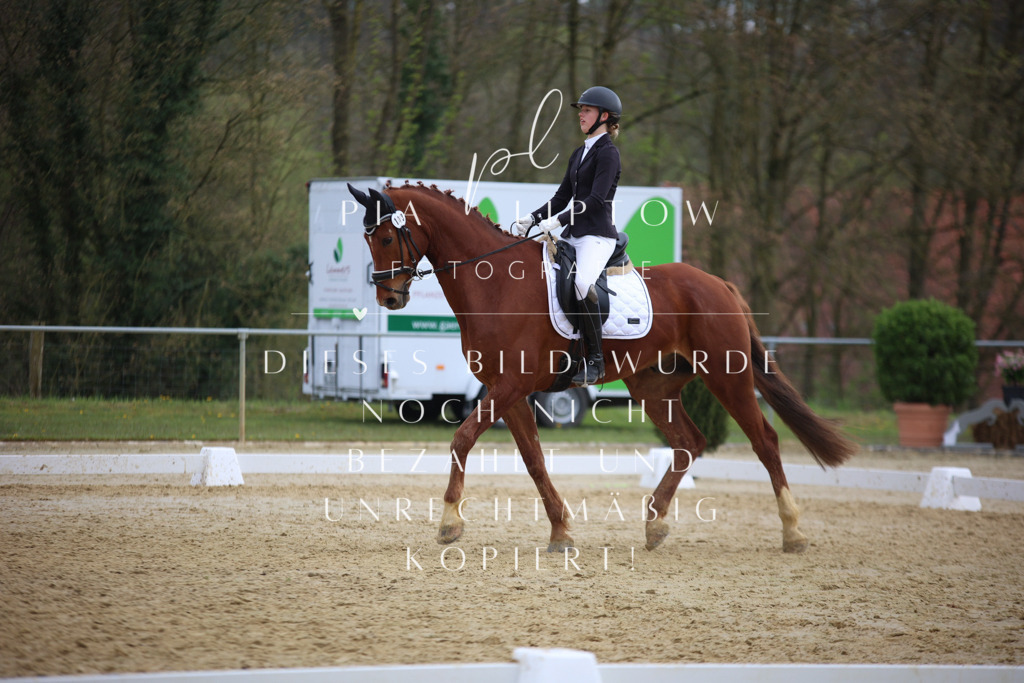 IMGT7366 | pl-fotografie