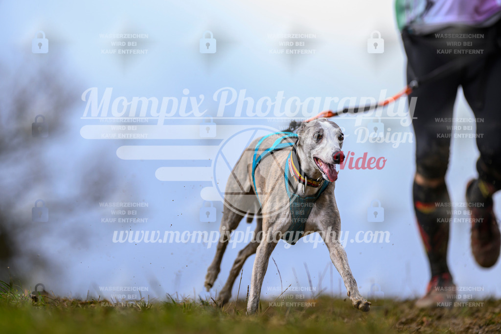 MompixPhotography_2OATB_SO_Run-27 | PayLife