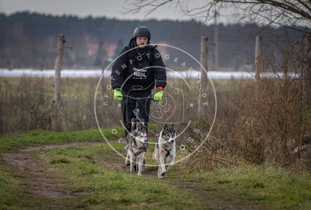 Pfotenfotografie_DV3A6950 | Hundefotografie, Tierfotograf, Pfotenfotografie, Fotoshooting Hund, Hunde Portrait, Hundesport, Hundeportraits, Heideshooting, Hunde, Sportfotograf, Hundefotograf, Turnierhundsport, THS,  - Realisiert mit Pictrs.com