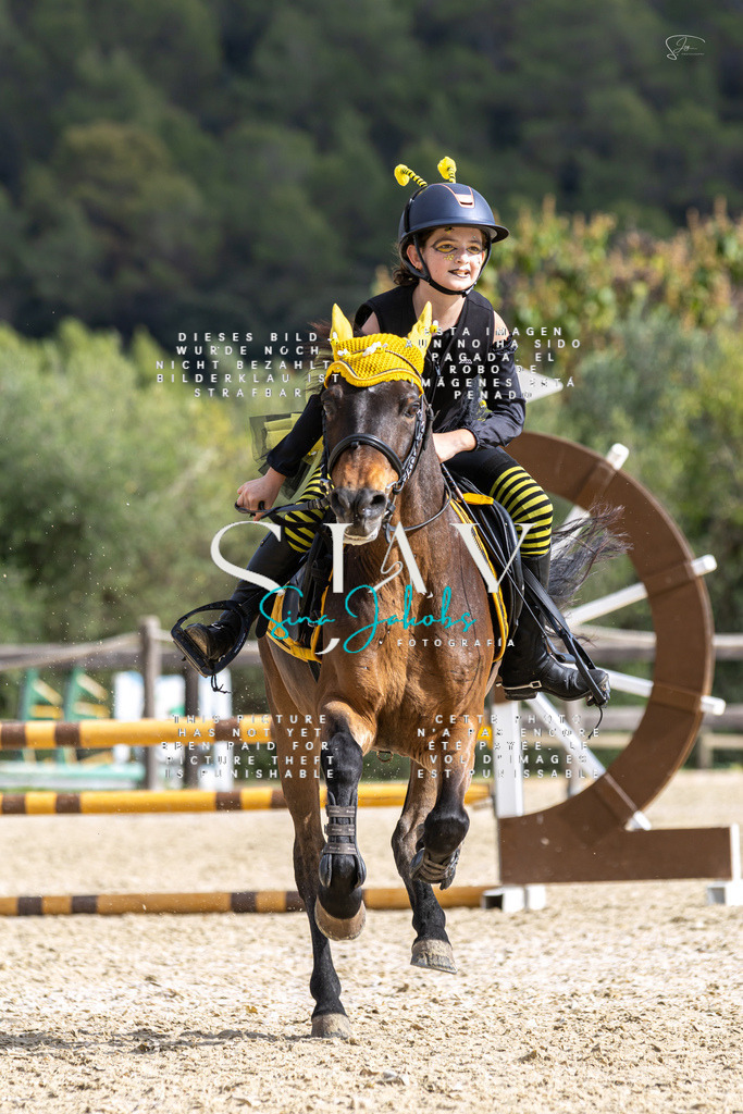 IMG_2625 | s-jay-photography - Realisiert mit Pictrs.com