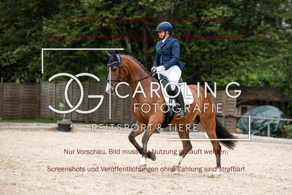 DSC_3095 | Turnierfotografin Carolin Gieschke,Reitsport Turnierfotografie Carolin G Fotografie | Turnierfotos aus Kirchheim/Teck, Esslingen, Stuttgart und dem Bodenseekreis