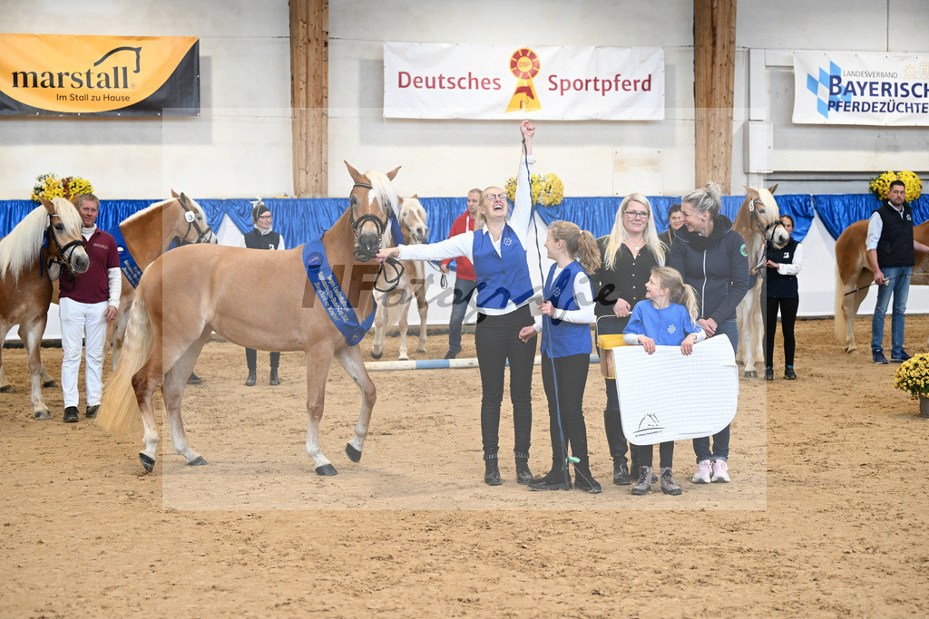 Bl. Band Kat-Nr. 12 Baghira v. Schampus_Czernoch_48251563 | hf-fotografie - Realisiert mit Pictrs.com
