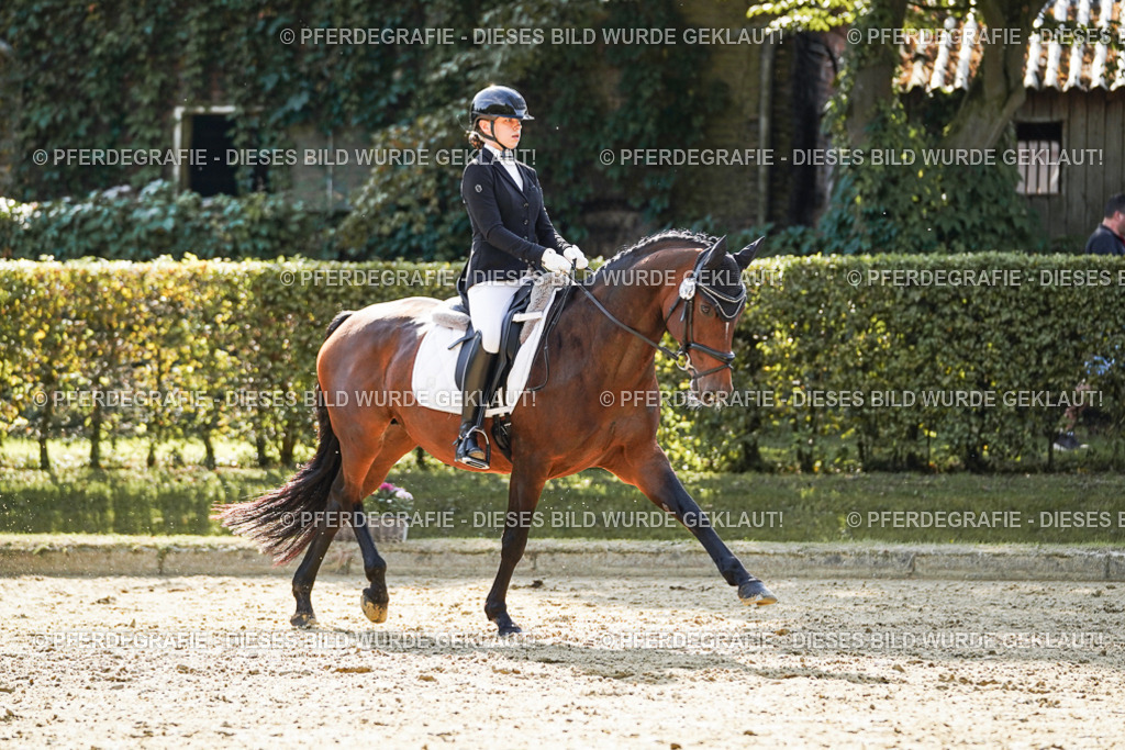 DSC07220 | Pferdegrafie