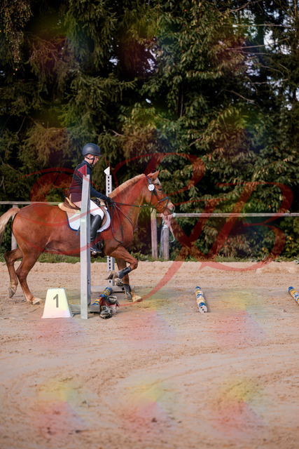 2026_10_03_Siefer-Hof_144624_Z81_22244301 | Professionelle Reitsport-, Turnier- und Eventfotografie von Robert Broda. Galerien mit ausgewählten und bearbeiteten Bildern direkt online ansehen und bestellen.