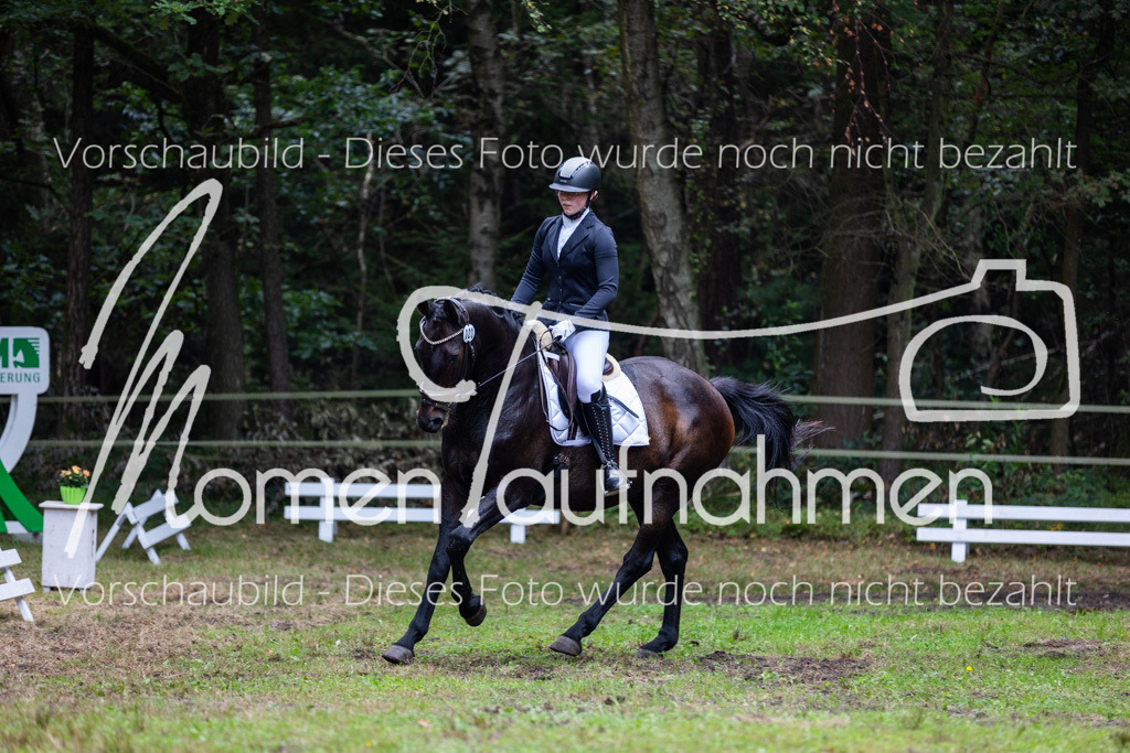 HB-A-Dressur-123 | MomenTaufnahmen Pferdesportfotos