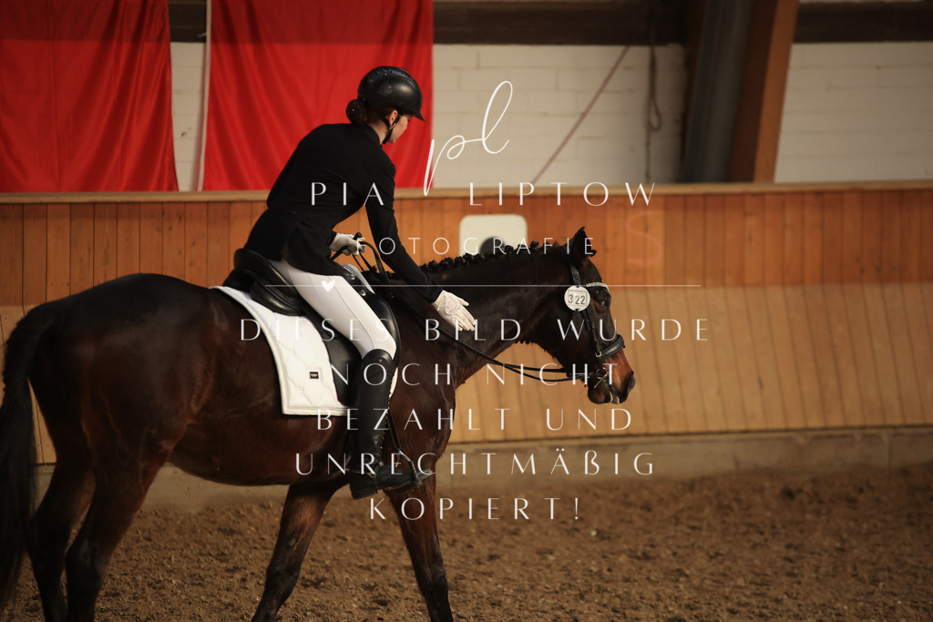 IMGT4291 | pl-fotografie