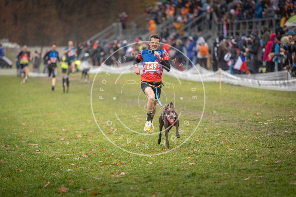 CaniXpix_DV3A9678 | Hundefotografie, Tierfotograf, Pfotenfotografie, Fotoshooting Hund, Hunde Portrait, Hundesport, Hundeportraits, Heideshooting, Hunde, Sportfotograf, Hundefotograf, Turnierhundsport, THS,  - Realisiert mit Pictrs.com