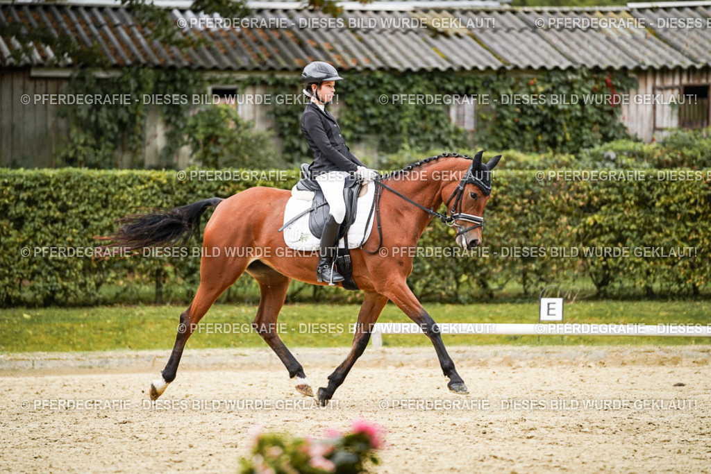 DSC07920 | Pferdegrafie