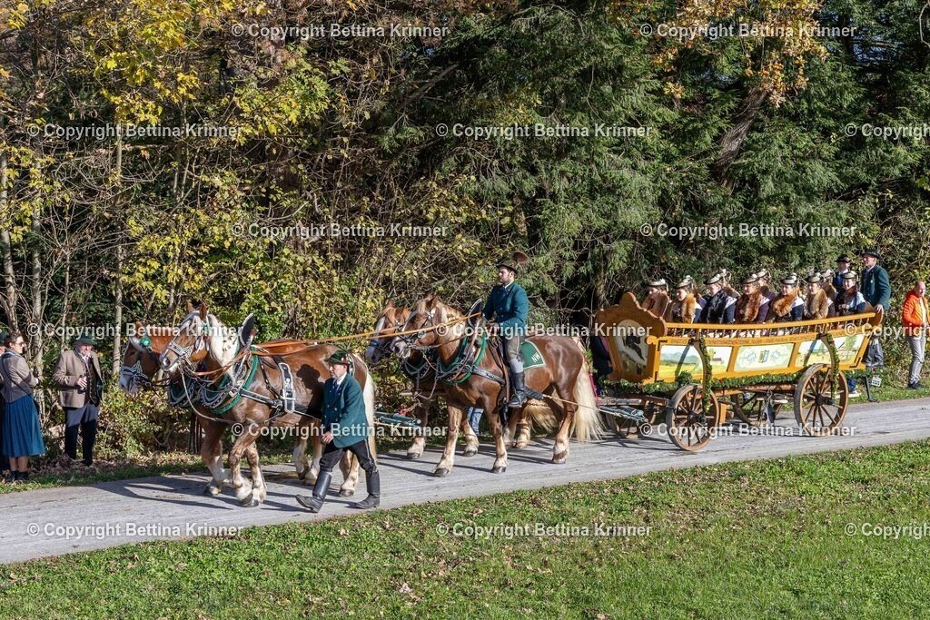 LBT24-517 | foto-bettina-krinner - Realisiert mit Pictrs.com