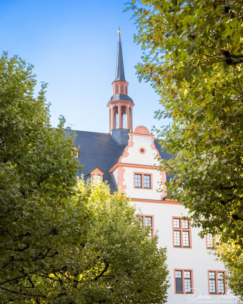 _DSC4405 | Fotografien, Fotos und Bilder aus Mainz, Frankfurt, Wiesbaden und anderen Orten auf der Welt - Fotografiert von Darius Metzner