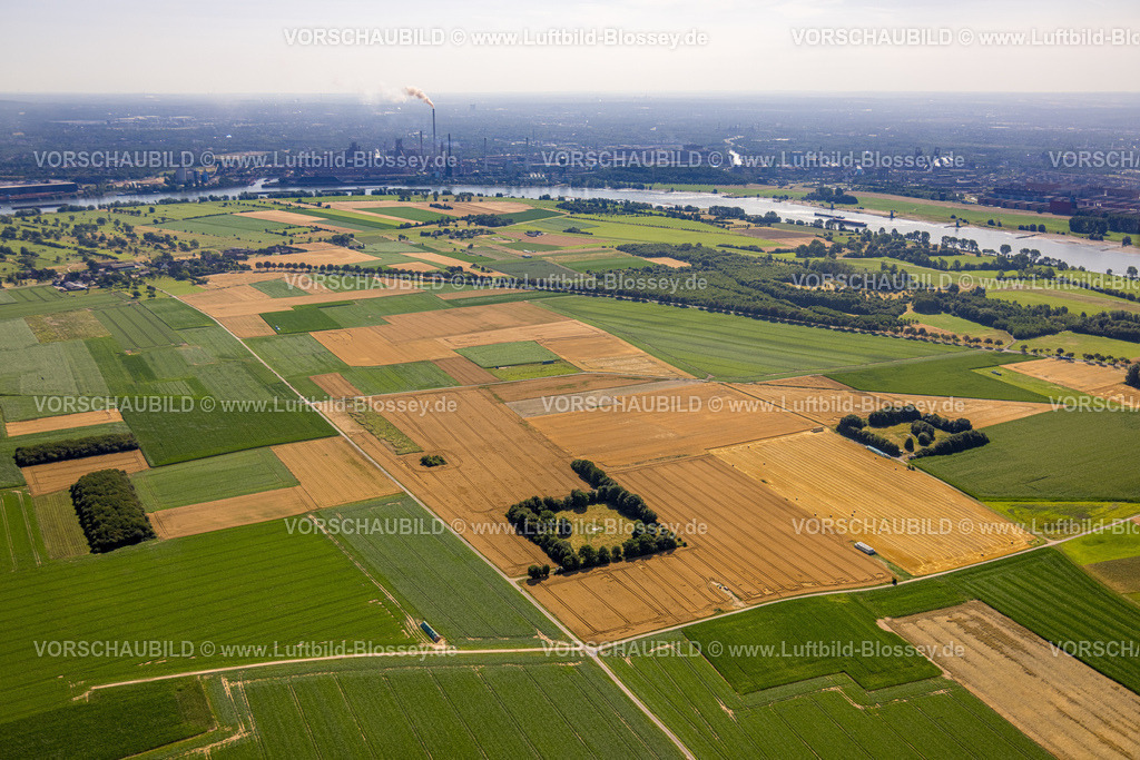 Duisburg230706860 | Luftbild, Landwirtschaftliche Felder, NSG Binsheimer Feld, Baerl, Duisburg, Ruhrgebiet, Nordrhein-Westfalen, Deutschland