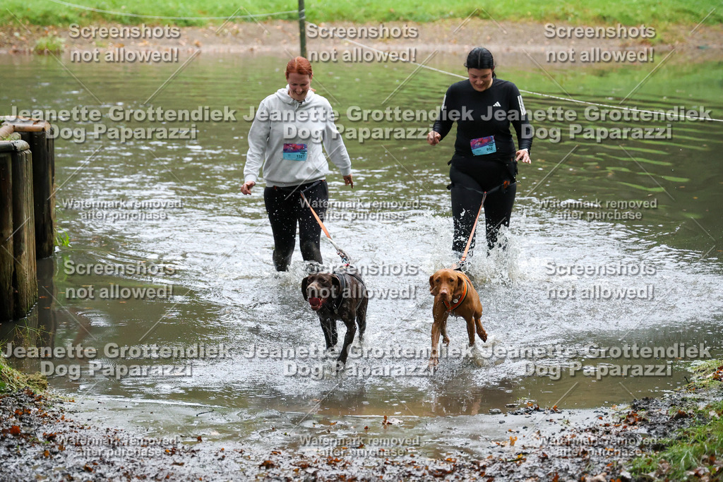 Dog Paparazzi -  SD1026-8519 | Dog Paparazzi Jeanette Grottendiek Fotografie & Videografie - Realisiert mit Pictrs.com