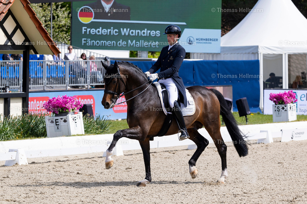 TH_333-WANDRES Frederic (GER)_ Fänomen de Malleret_36603 | Horses &amp; Dreams 2026 am 26.04.26 in Hagen a.T.W., Thomas Hellmann, 333WANDRES Frederic (GER), Fänomen de Malleret