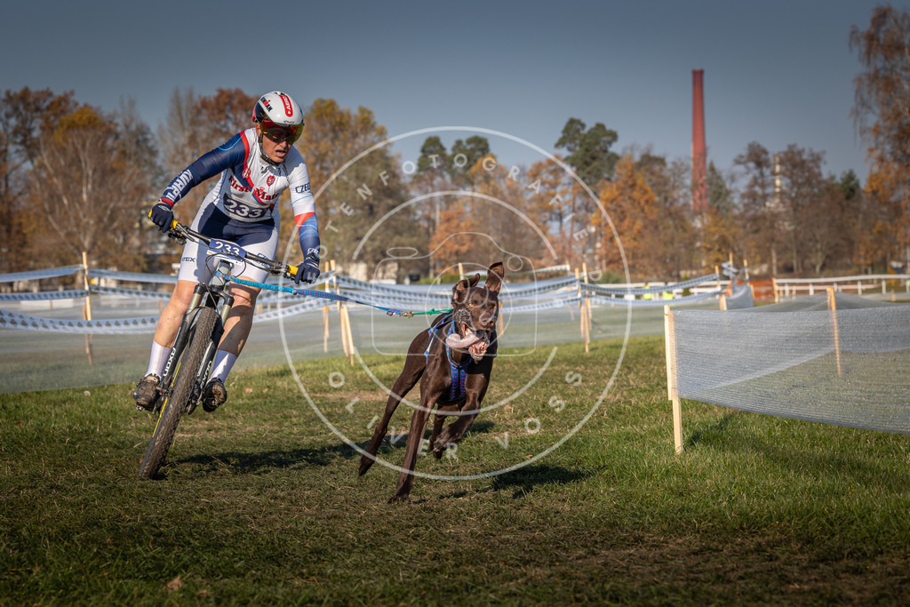 CaniXpix_0L8A6100 | Hundefotografie, Tierfotograf, Pfotenfotografie, Fotoshooting Hund, Hunde Portrait, Hundesport, Hundeportraits, Heideshooting, Hunde, Sportfotograf, Hundefotograf, Turnierhundsport, THS,  - Realisiert mit Pictrs.com