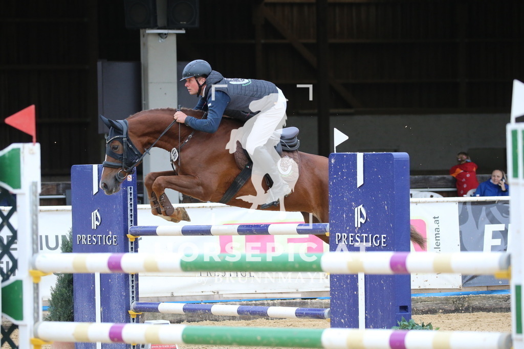 DL2Q2567 | Willkommen bei Brunnmayr - Design & Fotografie – Ihrem Spezialisten für Reitturniere und Pferdeveranstaltungen in Oberösterreich, Salzburg und Bayern! Seit über 17 Jahren sind wir leidenschaftlich dabei.