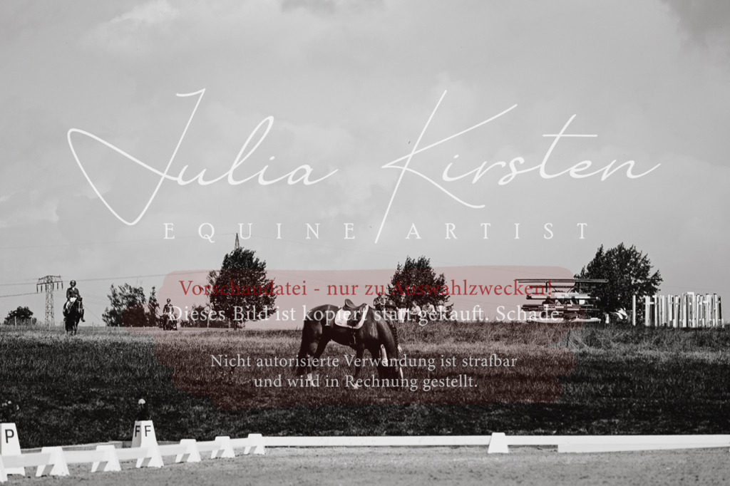 DSC_3886 | Pferde- und Turnierfotografie in Westsachsen. Pferdeportraits, Auftragszeichnungen und intuitive Kunst.