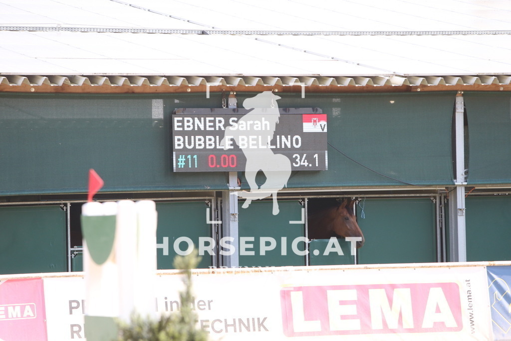 DL2Q0148 | Willkommen bei Brunnmayr - Design & Fotografie – Ihrem Spezialisten für Reitturniere und Pferdeveranstaltungen in Oberösterreich, Salzburg und Bayern! Seit über 17 Jahren sind wir leidenschaftlich dabei.