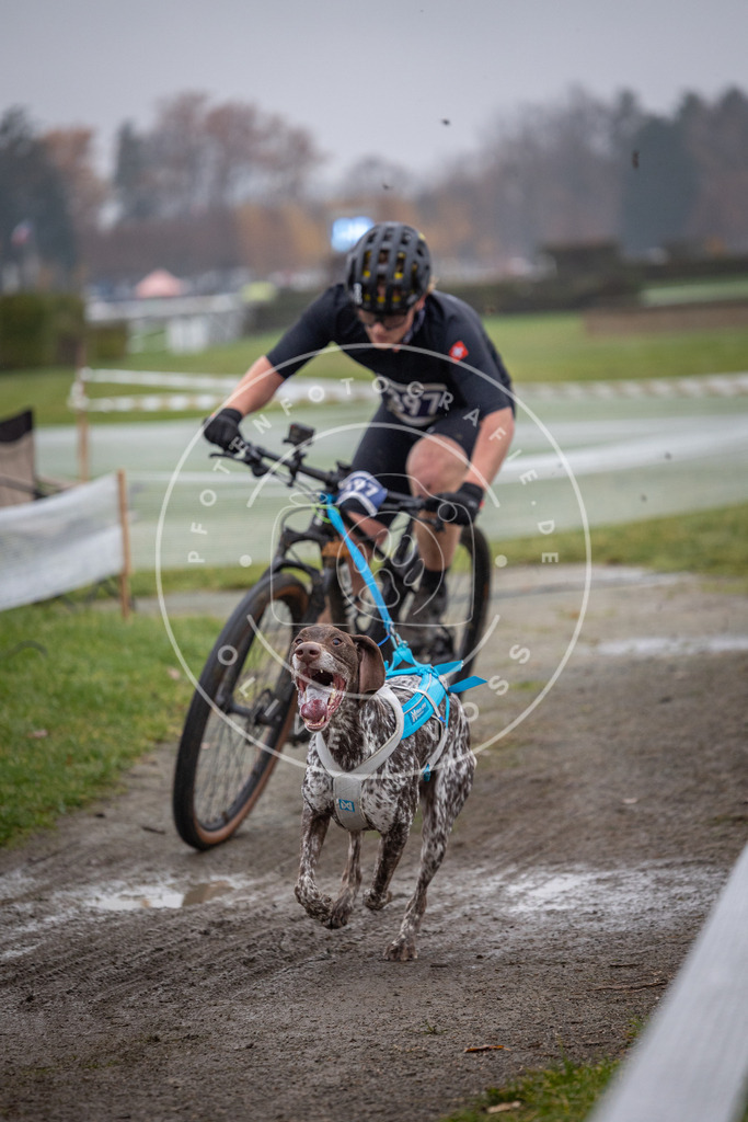 CaniXpix_0L8A1265 | Hundefotografie, Tierfotograf, Pfotenfotografie, Fotoshooting Hund, Hunde Portrait, Hundesport, Hundeportraits, Heideshooting, Hunde, Sportfotograf, Hundefotograf, Turnierhundsport, THS,  - Realisiert mit Pictrs.com