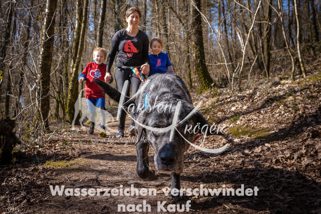 1118_ZZ97502 | kk-dogfotos