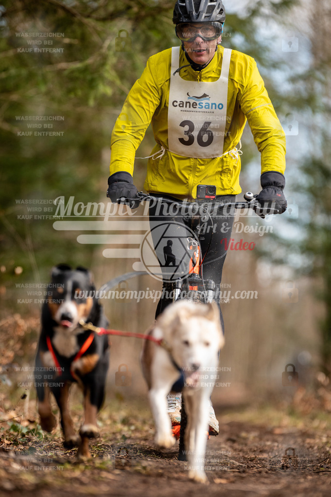 Reiat2023_SAM_DS2_5km_2H-13 | PayLife