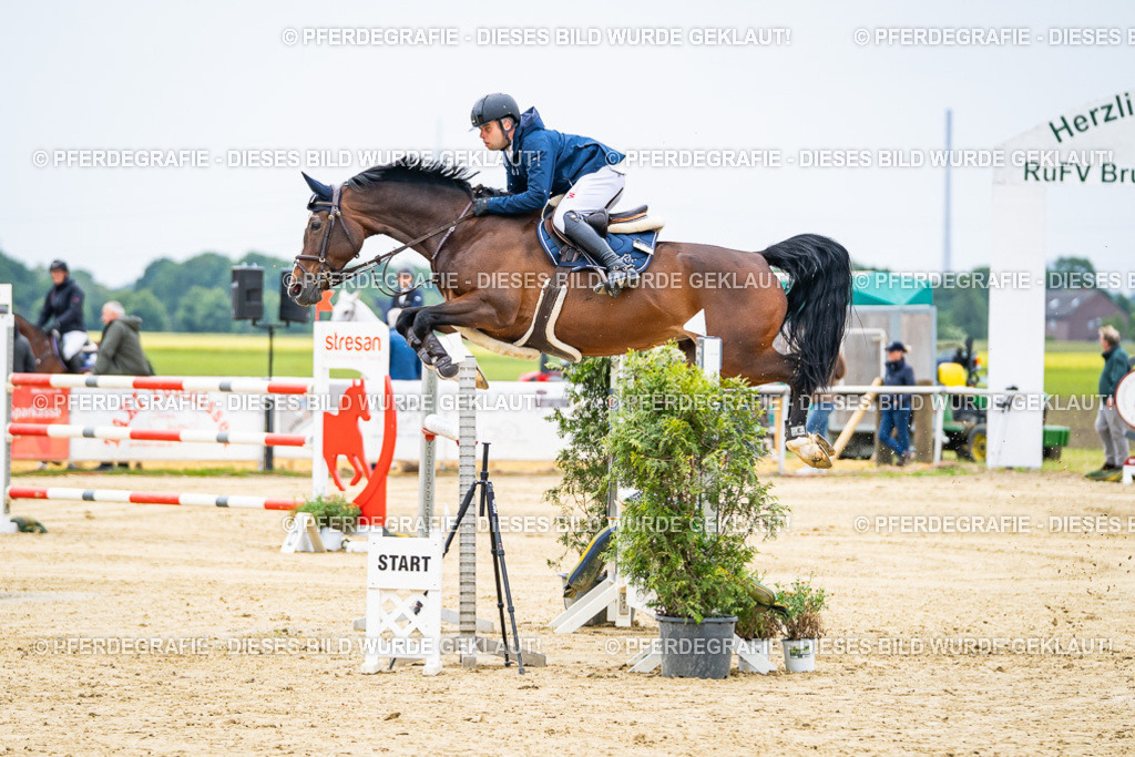 DSC06710 | Pferdegrafie