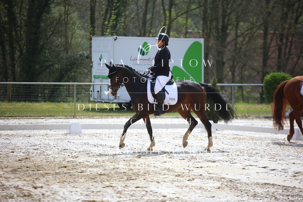 IMGT2406 | pl-fotografie