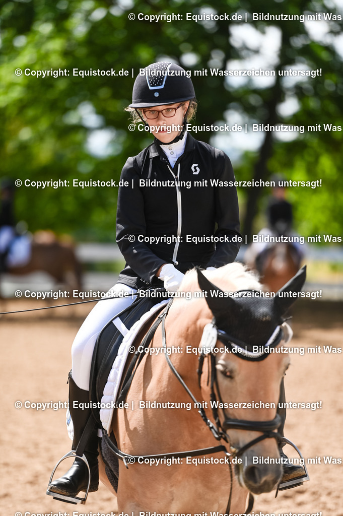 20230716_10-3_Reiter-WB Schritt - Trab - Galopp_0026 | equistock