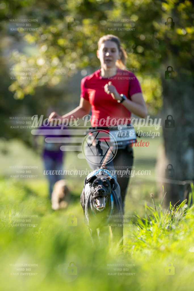 MompixPhotography_20TSB_E3_Run-198 | PayLife