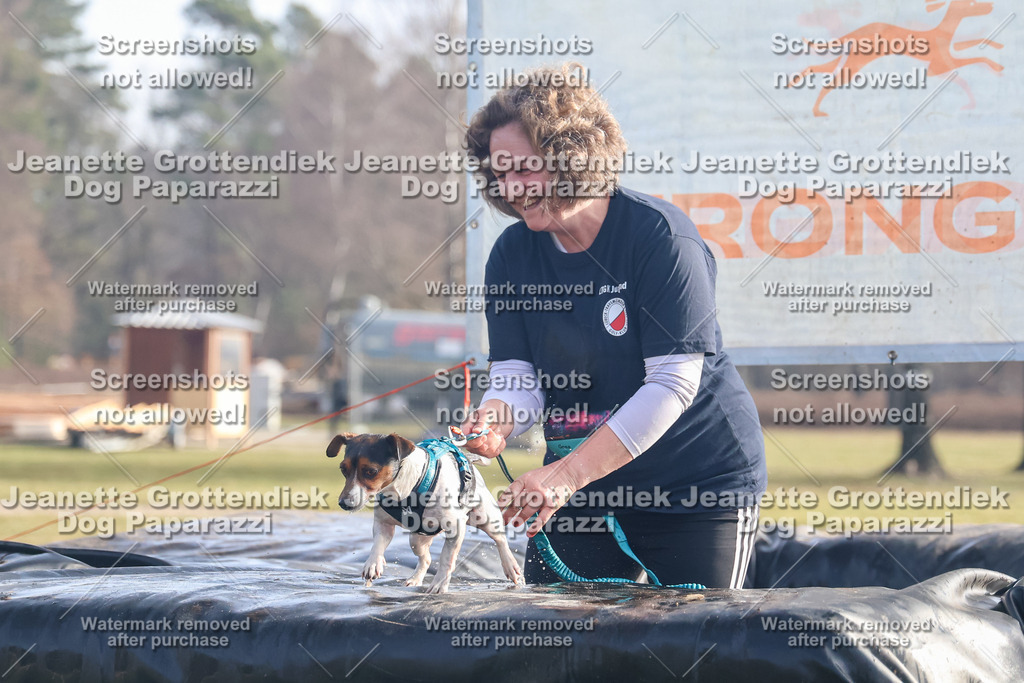 Dog Paparazzi - Strongdog North Mrz26-288 | Dog Paparazzi Jeanette Grottendiek Fotografie & Videografie - Realisiert mit Pictrs.com