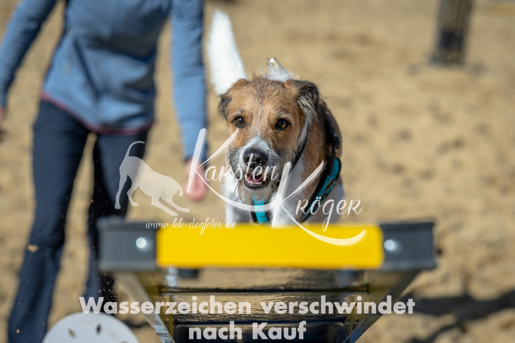 1223_ZZ93019-2 | kk-dogfotos