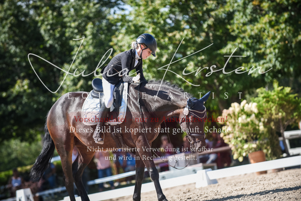 DSC_9571 | Pferde- und Turnierfotografie in Westsachsen. Pferdeportraits, Auftragszeichnungen und intuitive Kunst.