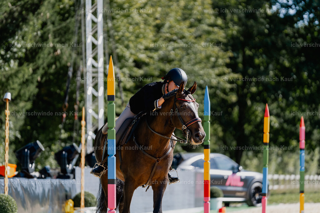 Virginie12FHC2025-09175 | working equitationturnier fotograf videograf stoibphotography marixx film working equitation deutschland reitsport turnierfotografie eventfotografie equestrian events