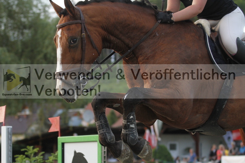 _MG_1725 | equestrian-live-com