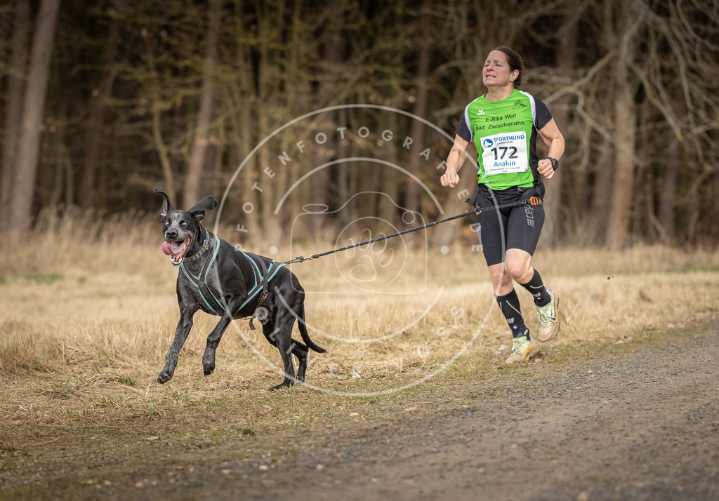 DV3A5399 | Hundefotografie, Tierfotograf, Pfotenfotografie, Fotoshooting Hund, Hunde Portrait, Hundesport, Hundeportraits, Heideshooting, Hunde, Sportfotograf, Hundefotograf, Turnierhundsport, THS,  - Realisiert mit Pictrs.com