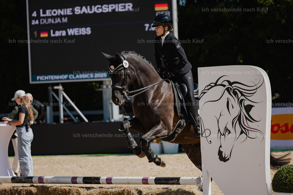 Leonie24_FHC2025-27 | working equitationturnier fotograf videograf stoibphotography marixx film working equitation deutschland reitsport turnierfotografie eventfotografie equestrian events