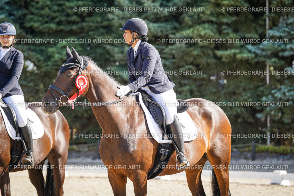 DSC00151 | Pferdegrafie