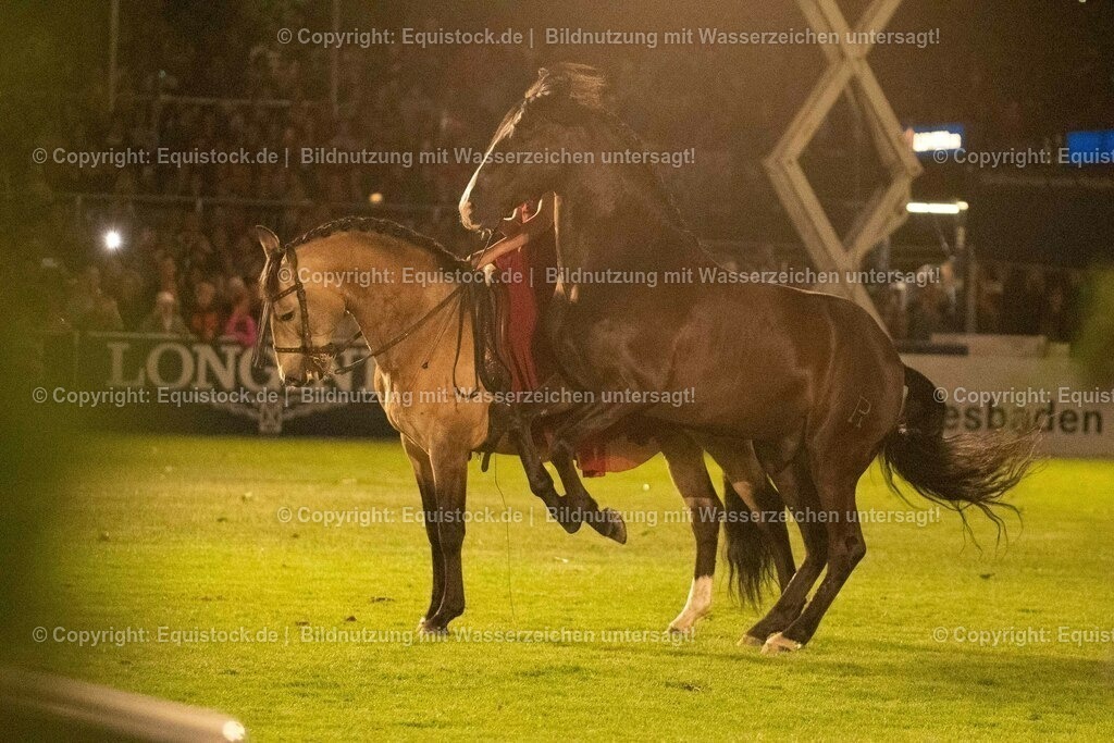 20230526_Pferdenacht_1455 | equistock