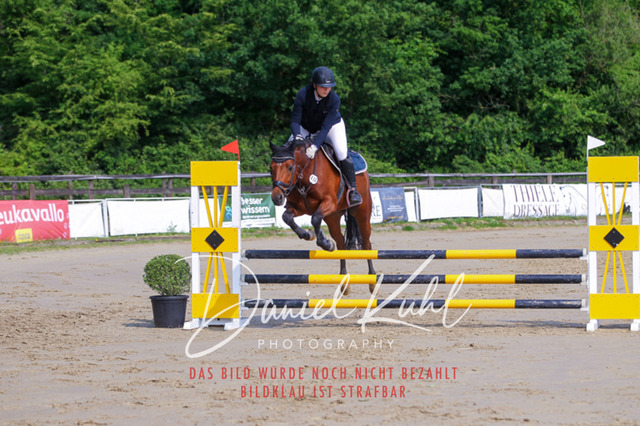 DKP41311 | Turniersportfotografie; Pferdefotografie; Dressurfotografie