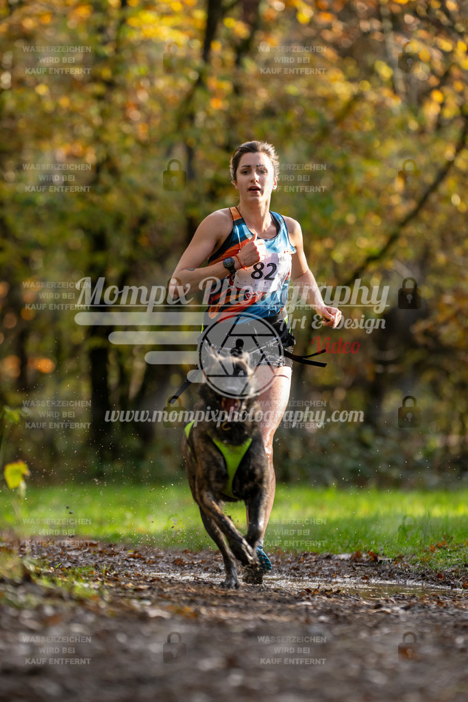 MompixPhotography_Bischwiller23_Canicross-11 | PayLife