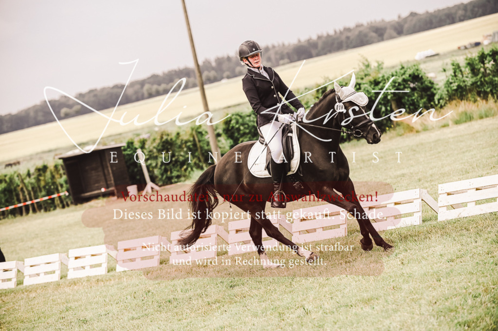DSC_4867 | Pferde- und Turnierfotografie in Westsachsen. Pferdeportraits, Auftragszeichnungen und intuitive Kunst.