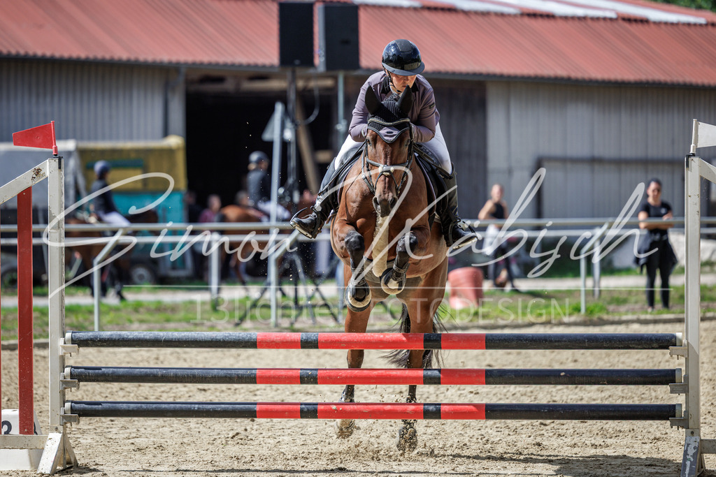 20260905-_3LI8793 | Tierfotografie Pferde, Hunde, Katzen, Haustiere.
Turnierfotografie Reitturniere, Reiten, Springreiten, Dressur in Hanau, dem Main-Kinzig-Kreis und dem Rhein-Main- Gebiet um Frankfurt