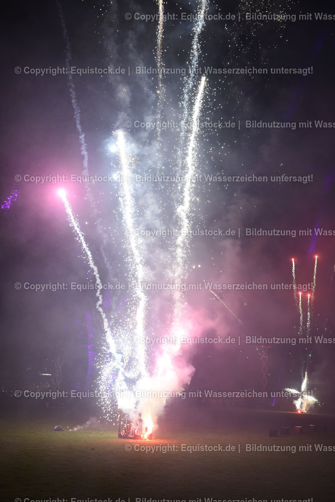 20230526_Pferdenacht_1613 | equistock