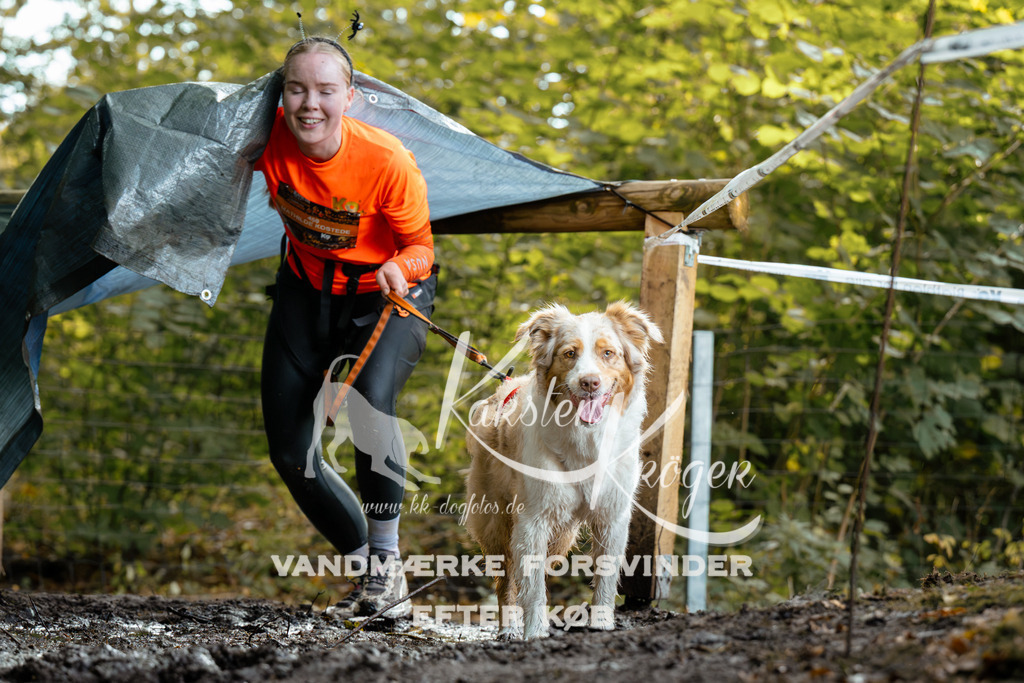 1415DZ6_1373Z6 | kk-dogfotos