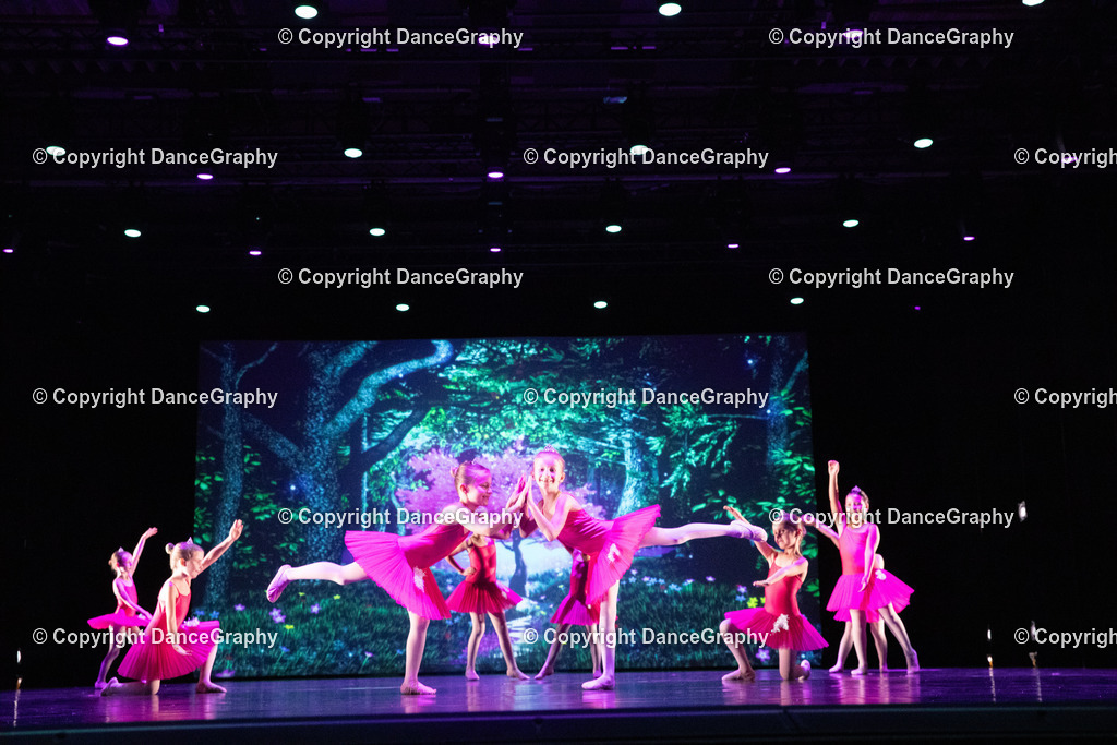 GPHY6037 | DanceGraphy - Realisiert mit Pictrs.com