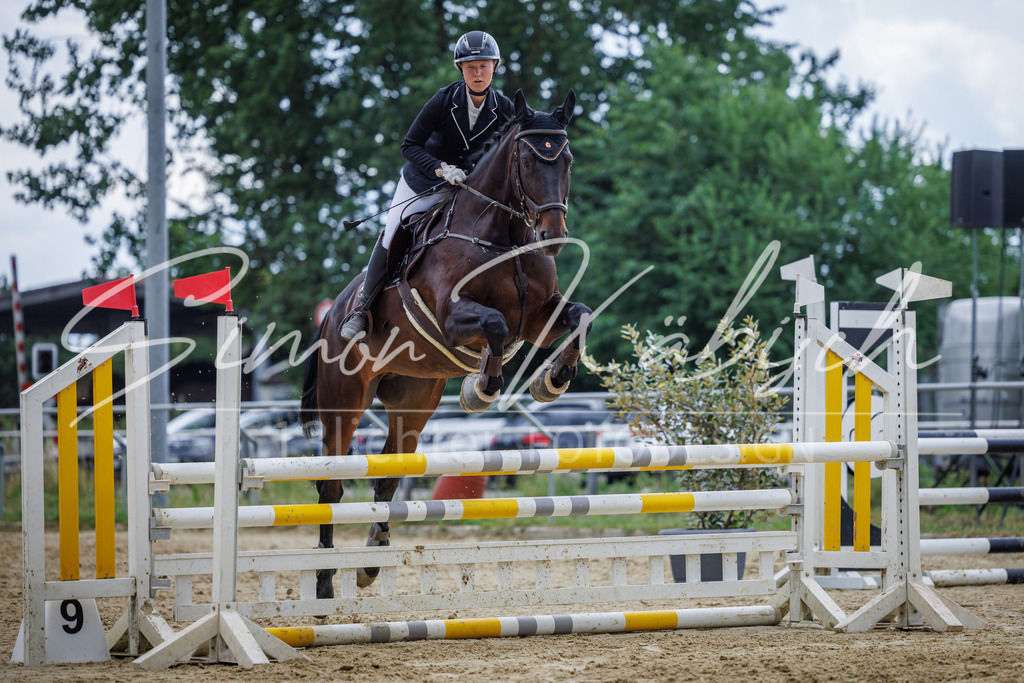 20260705-_3LI5132 | Tierfotografie Pferde, Hunde, Katzen, Haustiere.
Turnierfotografie Reitturniere, Reiten, Springreiten, Dressur in Hanau, dem Main-Kinzig-Kreis und dem Rhein-Main- Gebiet um Frankfurt